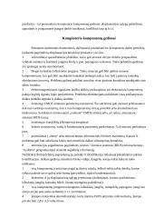 Kompiuterio sutrikimai 6 puslapis