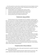 Kompiuterio sutrikimai 7 puslapis