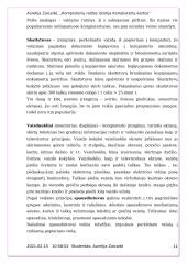 Kompiuterių raidos istorija bei kompiuterių kartos 11 puslapis