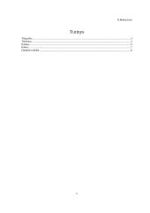 Komunikacijos priemonės ir jų istorinė raida: raštas, spauda, telegrafas, telefonas, radijas 2 puslapis