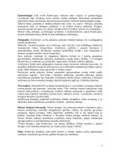 Konfucijaus pedagoginiai teiginiai 3 puslapis