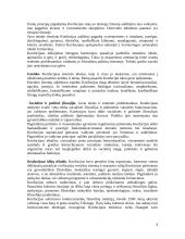 Konfucijaus pedagoginiai teiginiai 4 puslapis