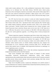 Kooperacijos ir kooperatyvų sampratos ir veiklos principai 11 puslapis