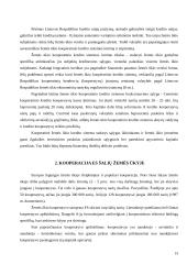 Kooperacijos ir kooperatyvų sampratos ir veiklos principai 15 puslapis