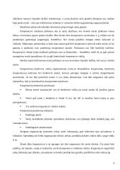 Kooperacijos ir kooperatyvų sampratos ir veiklos principai 4 puslapis