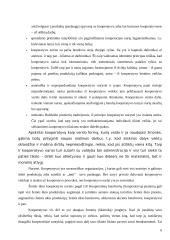 Kooperacijos ir kooperatyvų sampratos ir veiklos principai 6 puslapis