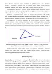 Kreditai Lietuvoje 7 puslapis