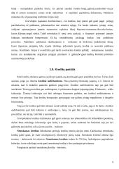 Kreditai Lietuvoje 9 puslapis
