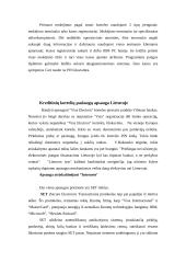 Kreditinių kortelių paslaugų apsauga 8 puslapis