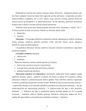 Kūno kultūros žinių ir gebėjimų vertinimas 4 puslapis
