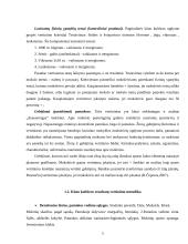 Kūno kultūros žinių ir gebėjimų vertinimas 5 puslapis