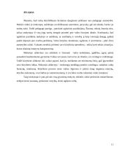 Kūrybiškumo ugdymas 11 puslapis