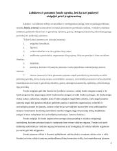Labdaros ir paramos fondo įregistravimas 4 puslapis