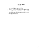 Labdaros ir paramos fondo įregistravimas 9 puslapis