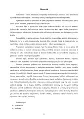 Laikraštinės produkcijos paruošimo įranga 11 puslapis