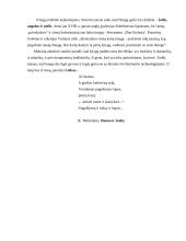 Laisvalaikis su knyga 11 puslapis