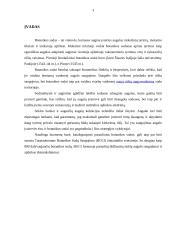 Latvijos botanikos sodai 2 puslapis