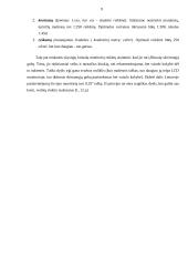 LCD monitorių apžvalga 9 puslapis