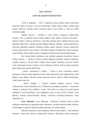 Lietuva carinės Rusijos sudėtyje. Lietuvių kalbos puoselėtojai 3 puslapis