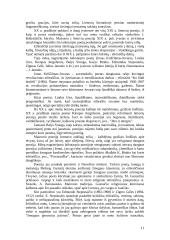 Lietuvių literatūros raidos 1880-1918 metų apžvalga 11 puslapis