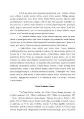 Lietuvių literatūros vertinimas A. Nykos-Niliūno kritikoje 7 puslapis