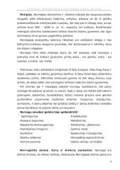 Lietuvos delegacijos į Norvegiją vizito vadyba 8 puslapis