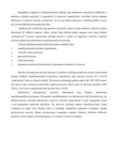 Lietuvos ir Rusijos santykiai 12 puslapis