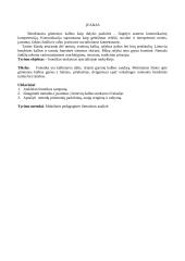 Lietuvos kalbos fonetikos specialioji didaktika 3 puslapis