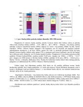 Lietuvos komercinių bankų finansinės būklės įvertinimas 12 puslapis
