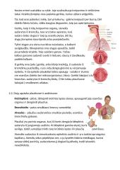 Kvėpavimio organų sistema 2 puslapis