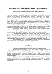 Lietuvos miškai 3 puslapis