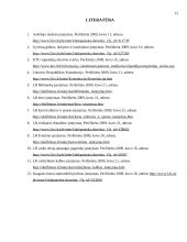 Lietuvos Respublikos (LR) įstatymai mano gyvenime 13 puslapis