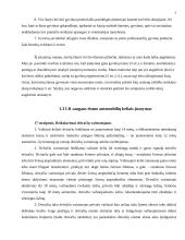 Lietuvos Respublikos (LR) įstatymai mano gyvenime 5 puslapis
