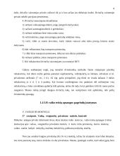 Lietuvos Respublikos (LR) įstatymai mano gyvenime 6 puslapis