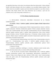 Lietuvos Respublikos (LR) įstatymai mano gyvenime 7 puslapis