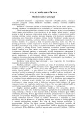 Lietuvos respublikos biudžetinė sandara 3 puslapis