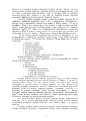 Lietuvos respublikos biudžetinė sandara 4 puslapis
