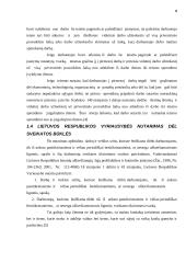 Lietuvos Respublikos įstatymai mano gyvenime 8 puslapis