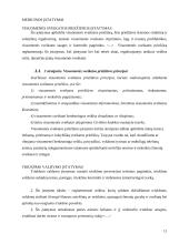 Įstatymai mano gyvenime 11 puslapis