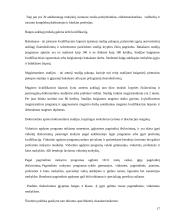 Lietuvos socialinės politikos kryptys ir raida 17 puslapis