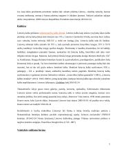 Lietuvos socialinės politikos kryptys ir raida 5 puslapis