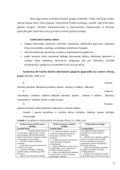 Lietuvos švietimo sistema 4 puslapis