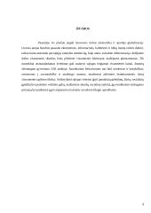 Lietuvos švietimo sistema 9 puslapis