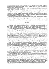 Lietuvos ūkio cikliškumas 17 puslapis