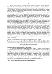Lietuvos ūkio cikliškumas 8 puslapis