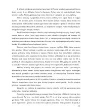 Lietuvos virtuvė 11 puslapis