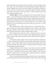 Lietuvos virtuvė 16 puslapis