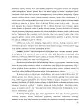 Lietuvos virtuvė 17 puslapis