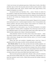 Lietuvos virtuvė 18 puslapis