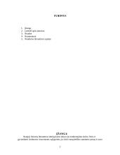 Literatūros atgimimas: naujieji autoriai (B. Radzevičius, S. Šaltenis, B. Vilimaitė, V. Juknaitė) 2 puslapis